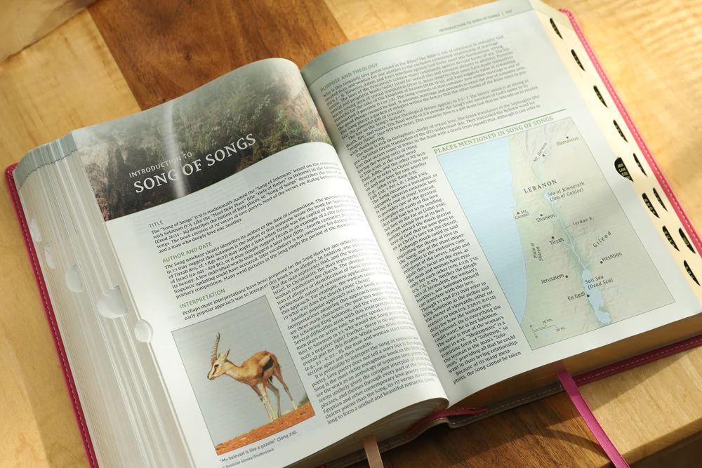 NIV, Biblical Theology Study Bible, Comfort Print: Follow God’s Redemptive Plan as It Unfolds throughout Scripture - Image 41