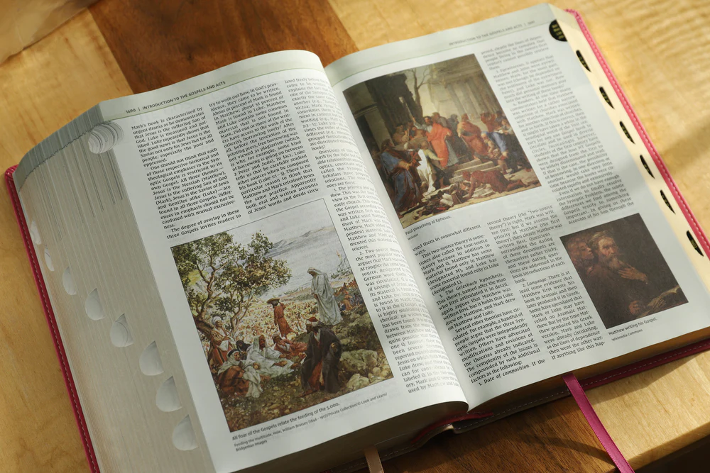 NIV, Biblical Theology Study Bible, Comfort Print: Follow God’s Redemptive Plan as It Unfolds throughout Scripture - Image 43