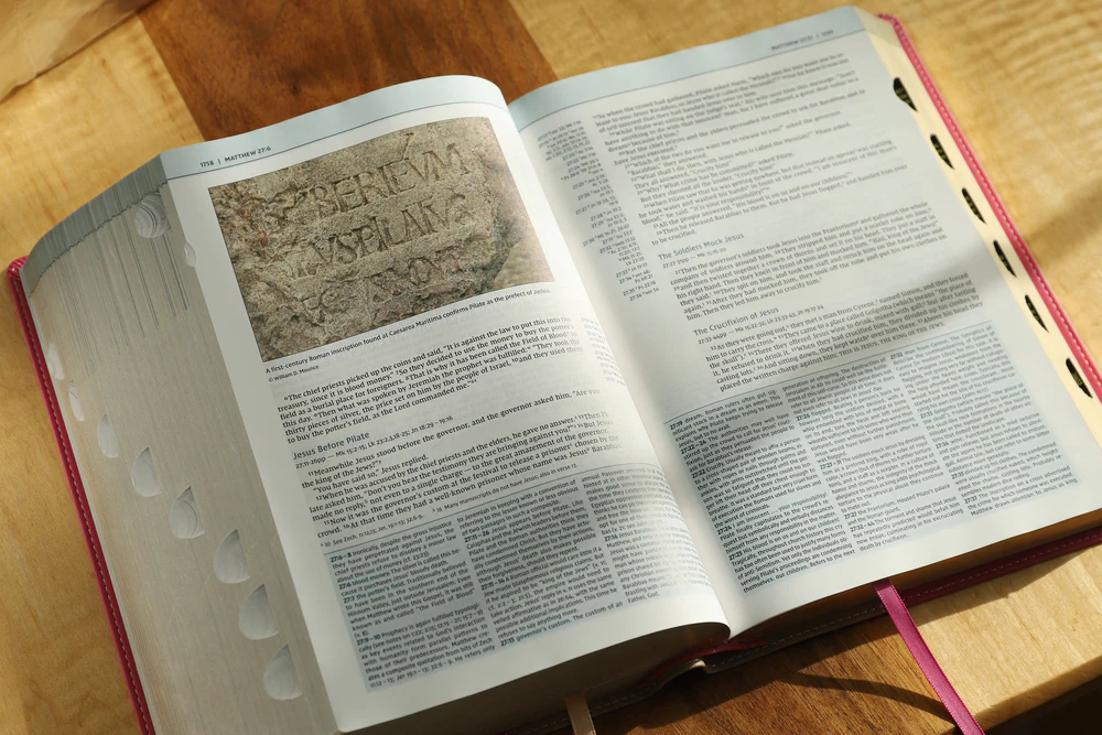 NIV, Biblical Theology Study Bible, Comfort Print: Follow God’s Redemptive Plan as It Unfolds throughout Scripture - Image 44