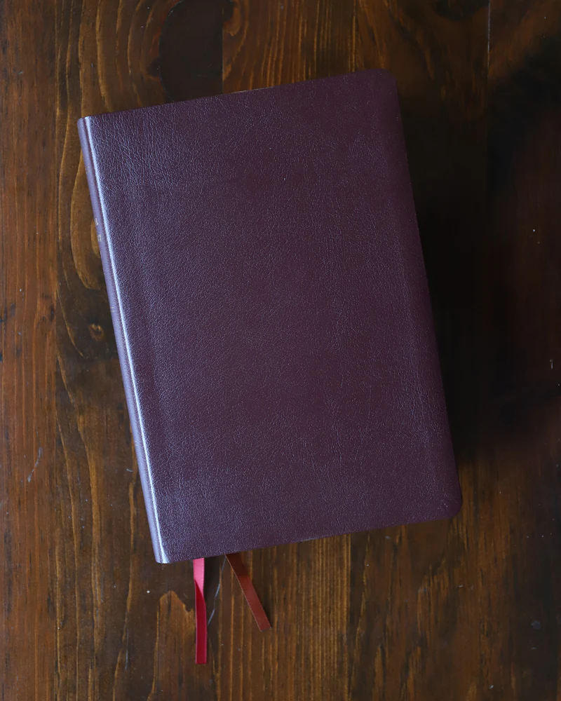 NIV, Biblical Theology Study Bible, Comfort Print: Follow God’s Redemptive Plan as It Unfolds throughout Scripture - Image 46