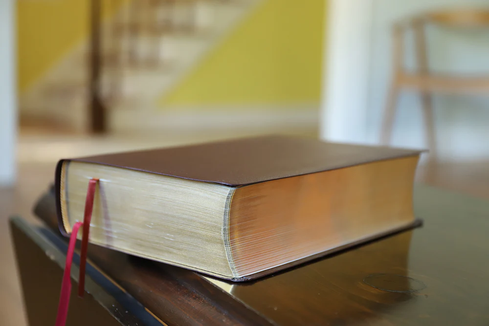 NIV, Biblical Theology Study Bible, Comfort Print: Follow God’s Redemptive Plan as It Unfolds throughout Scripture - Image 47