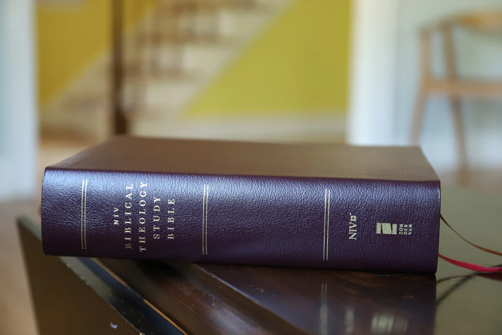 NIV, Biblical Theology Study Bible, Comfort Print: Follow God’s Redemptive Plan as It Unfolds throughout Scripture - Image 48