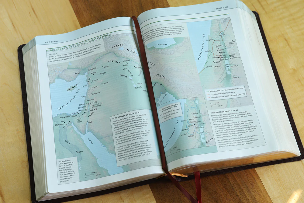 NIV, Biblical Theology Study Bible, Comfort Print: Follow God’s Redemptive Plan as It Unfolds throughout Scripture - Image 49