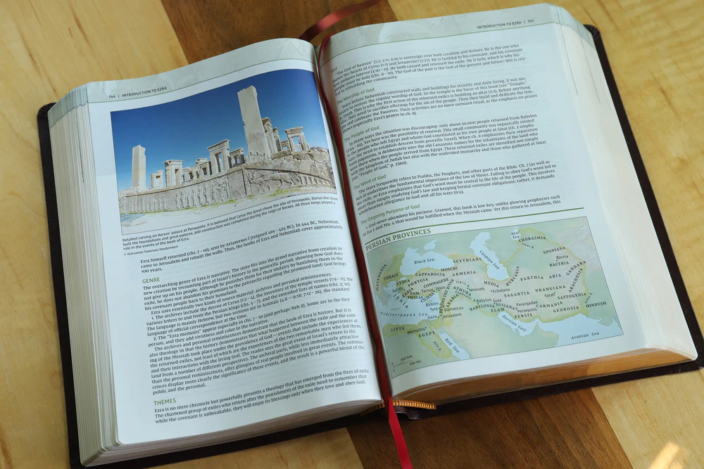 NIV, Biblical Theology Study Bible, Comfort Print: Follow God’s Redemptive Plan as It Unfolds throughout Scripture - Image 50