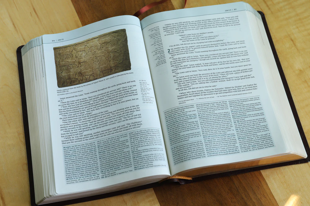 NIV, Biblical Theology Study Bible, Comfort Print: Follow God’s Redemptive Plan as It Unfolds throughout Scripture - Image 51
