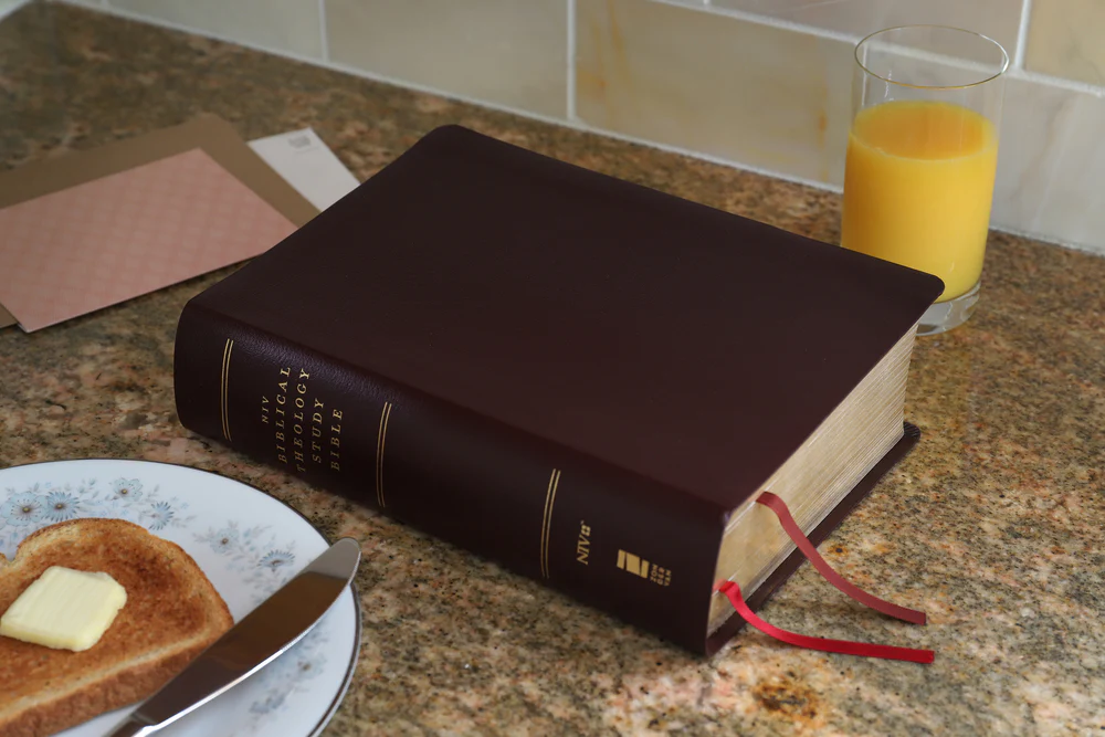 NIV, Biblical Theology Study Bible, Comfort Print: Follow God’s Redemptive Plan as It Unfolds throughout Scripture - Image 52