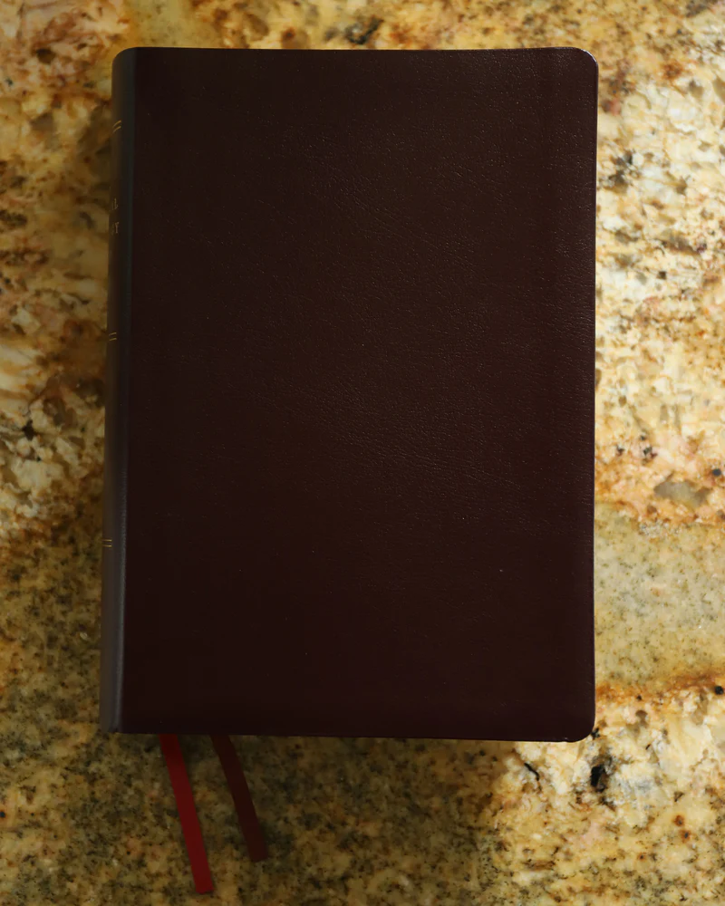 NIV, Biblical Theology Study Bible, Comfort Print: Follow God’s Redemptive Plan as It Unfolds throughout Scripture - Image 53