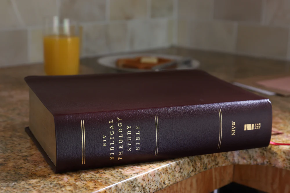 NIV, Biblical Theology Study Bible, Comfort Print: Follow God’s Redemptive Plan as It Unfolds throughout Scripture - Image 54