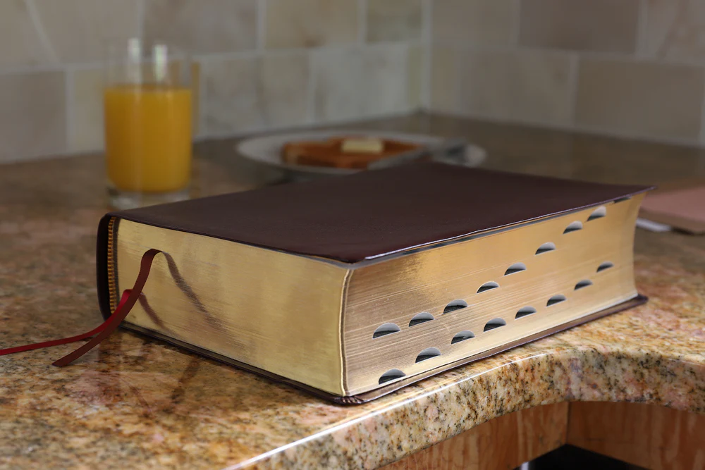 NIV, Biblical Theology Study Bible, Comfort Print: Follow God’s Redemptive Plan as It Unfolds throughout Scripture - Image 55