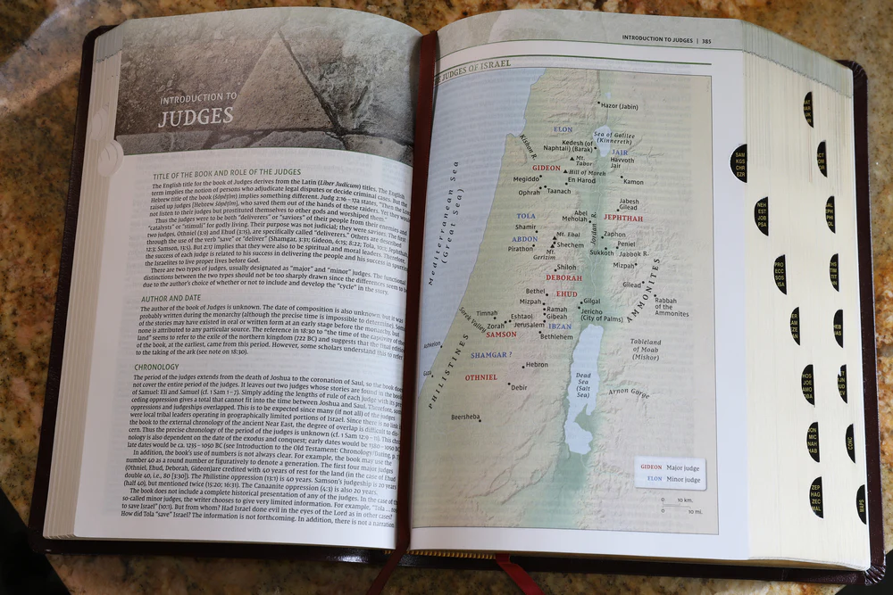 NIV, Biblical Theology Study Bible, Comfort Print: Follow God’s Redemptive Plan as It Unfolds throughout Scripture - Image 56