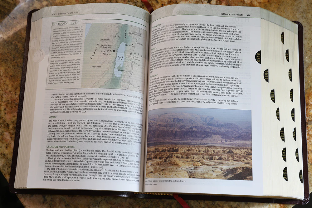 NIV, Biblical Theology Study Bible, Comfort Print: Follow God’s Redemptive Plan as It Unfolds throughout Scripture - Image 57