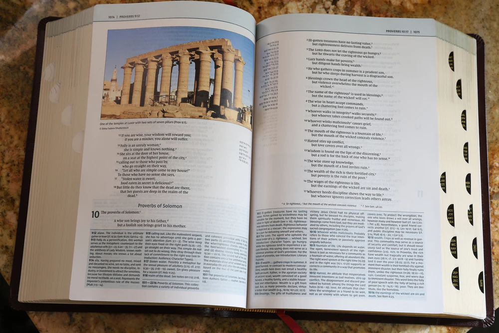 NIV, Biblical Theology Study Bible, Comfort Print: Follow God’s Redemptive Plan as It Unfolds throughout Scripture - Image 58