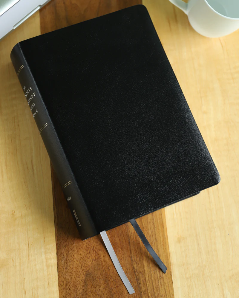 NIV, Biblical Theology Study Bible, Comfort Print: Follow God’s Redemptive Plan as It Unfolds throughout Scripture - Image 60