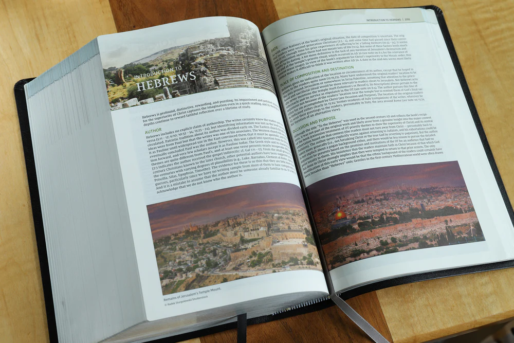 NIV, Biblical Theology Study Bible, Comfort Print: Follow God’s Redemptive Plan as It Unfolds throughout Scripture - Image 63