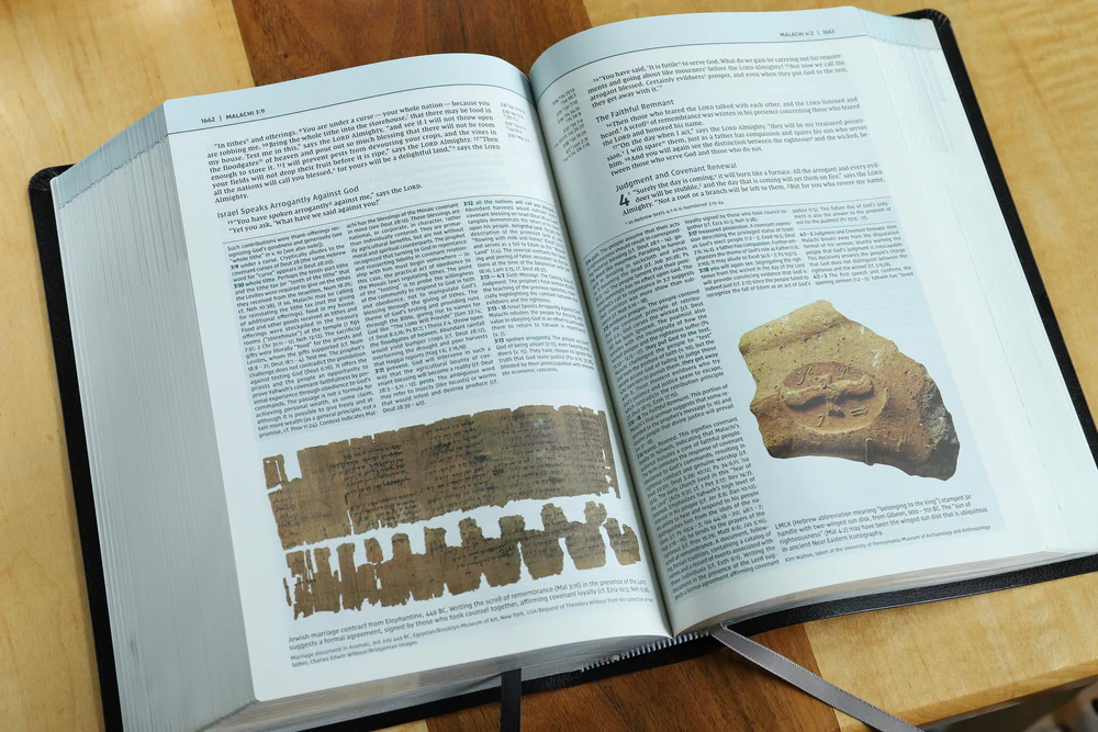 NIV, Biblical Theology Study Bible, Comfort Print: Follow God’s Redemptive Plan as It Unfolds throughout Scripture - Image 66