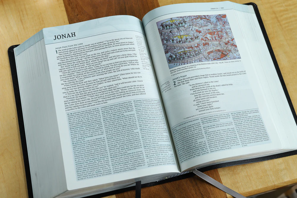 NIV, Biblical Theology Study Bible, Comfort Print: Follow God’s Redemptive Plan as It Unfolds throughout Scripture - Image 67