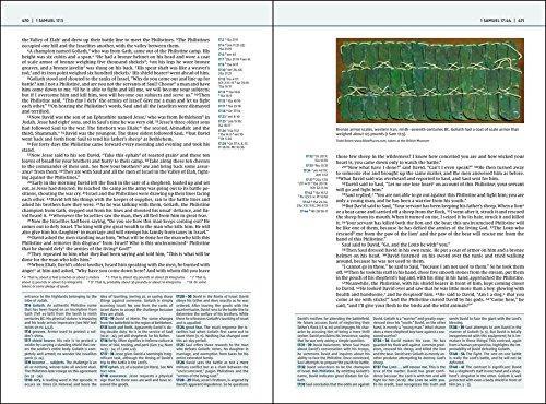 NIV, Biblical Theology Study Bible, Comfort Print: Follow God’s Redemptive Plan as It Unfolds throughout Scripture - Image 69