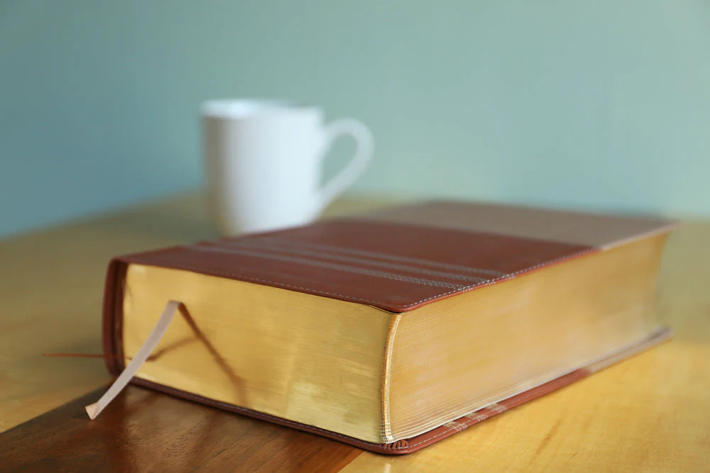 NIV, Biblical Theology Study Bible, Comfort Print: Follow God’s Redemptive Plan as It Unfolds throughout Scripture - Image 74