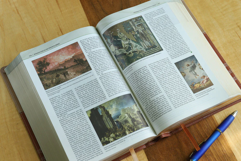 NIV, Biblical Theology Study Bible, Comfort Print: Follow God’s Redemptive Plan as It Unfolds throughout Scripture - Image 78