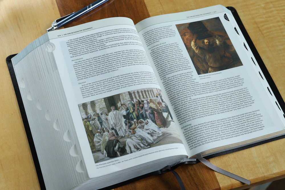 NIV, Biblical Theology Study Bible, Comfort Print: Follow God’s Redemptive Plan as It Unfolds throughout Scripture - Image 85