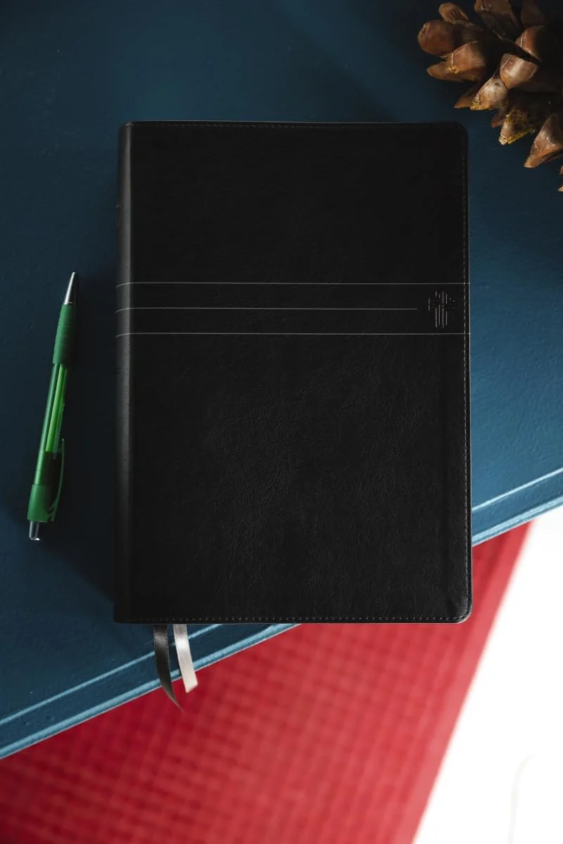 NIV, Biblical Theology Study Bible, Comfort Print: Follow God’s Redemptive Plan as It Unfolds throughout Scripture - Image 89