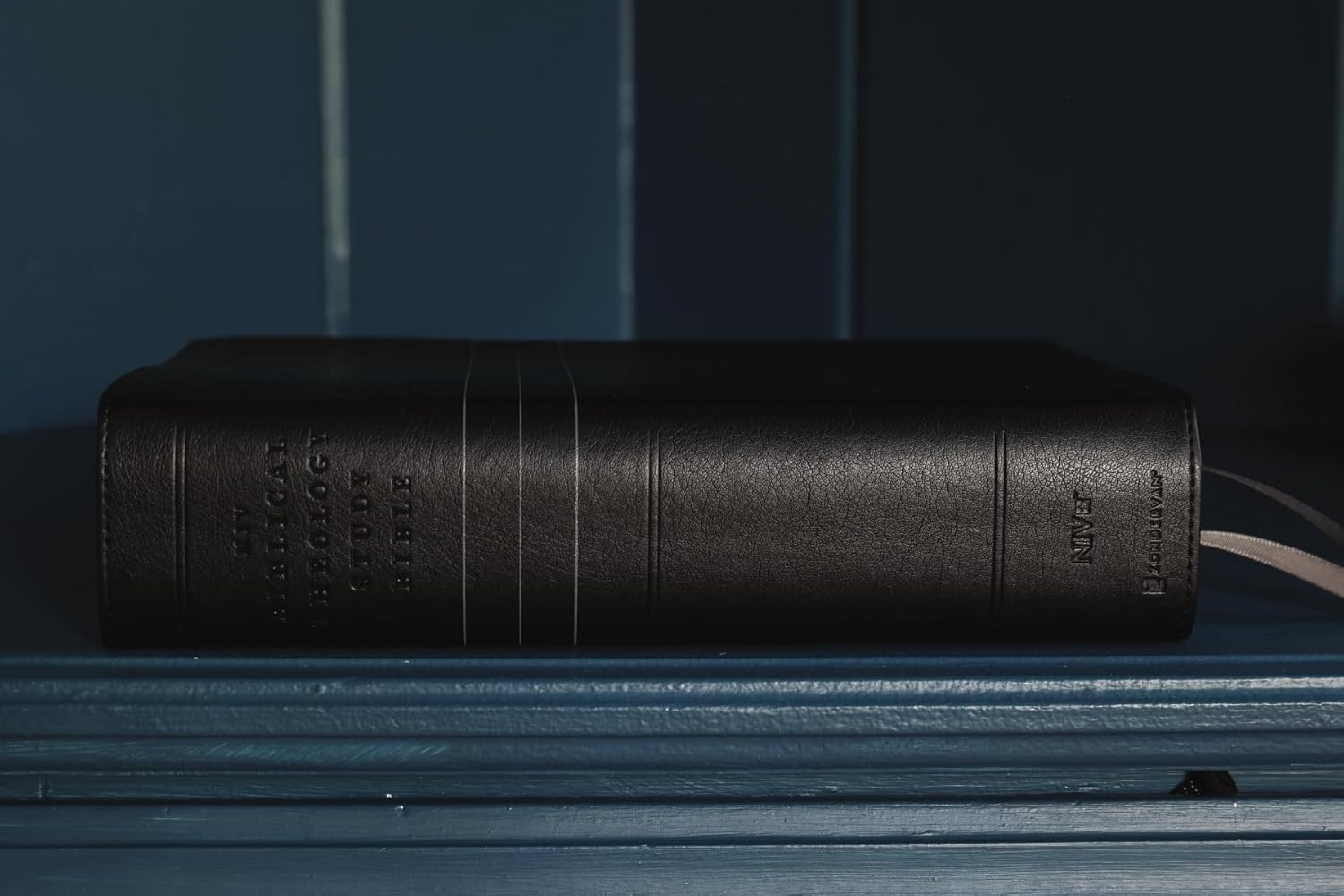 NIV, Biblical Theology Study Bible, Comfort Print: Follow God’s Redemptive Plan as It Unfolds throughout Scripture - Image 92