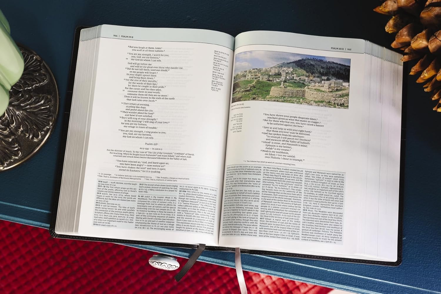 NIV, Biblical Theology Study Bible, Comfort Print: Follow God’s Redemptive Plan as It Unfolds throughout Scripture - Image 97