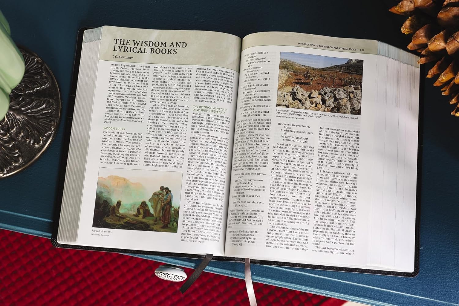 NIV, Biblical Theology Study Bible, Comfort Print: Follow God’s Redemptive Plan as It Unfolds throughout Scripture - Image 98