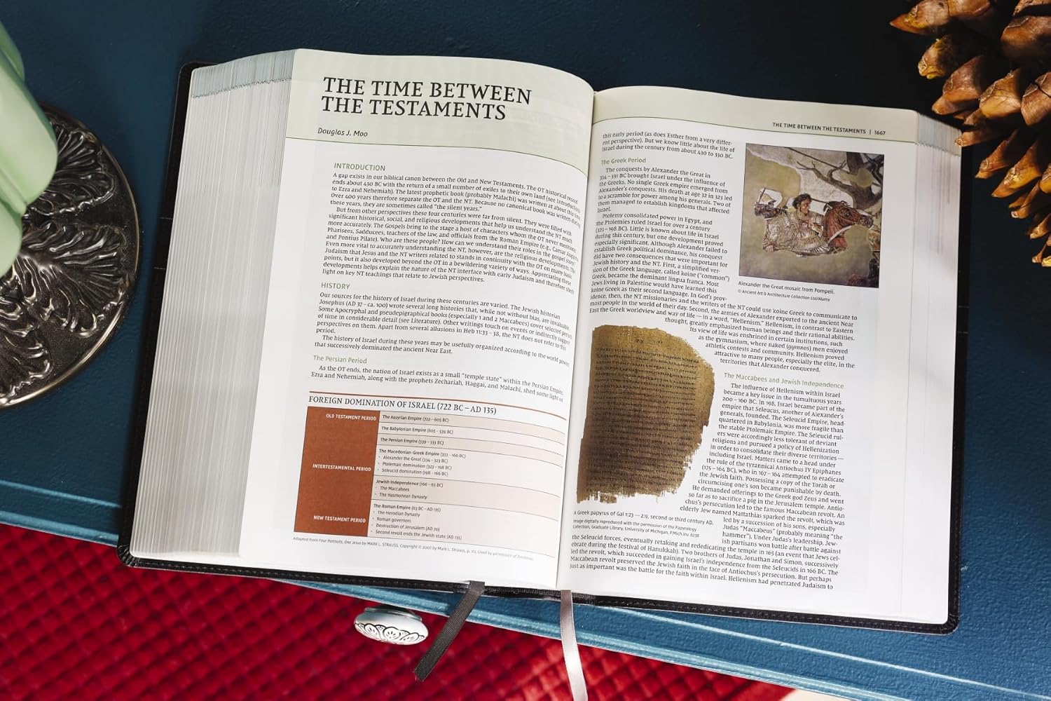 NIV, Biblical Theology Study Bible, Comfort Print: Follow God’s Redemptive Plan as It Unfolds throughout Scripture - Image 99