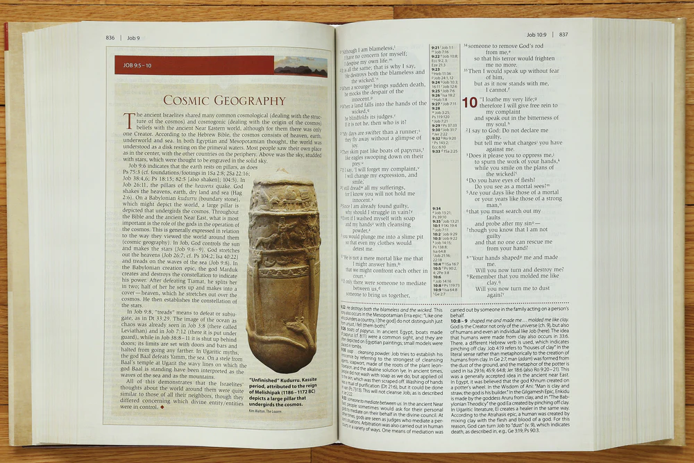 NIV, Cultural Backgrounds Study Bible, Red Letter Edition: Bringing to Life the Ancient World of Scripture - Image 10