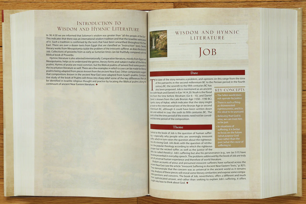 NIV, Cultural Backgrounds Study Bible, Red Letter Edition: Bringing to Life the Ancient World of Scripture - Image 12