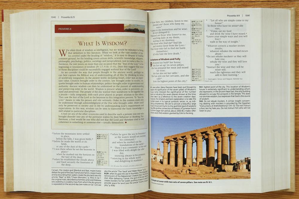NIV, Cultural Backgrounds Study Bible, Red Letter Edition: Bringing to Life the Ancient World of Scripture - Image 16