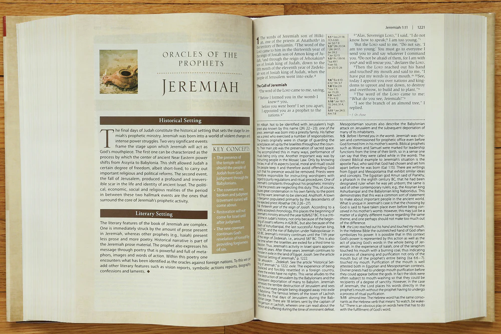 NIV, Cultural Backgrounds Study Bible, Red Letter Edition: Bringing to Life the Ancient World of Scripture - Image 17