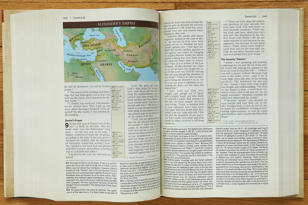 NIV, Cultural Backgrounds Study Bible, Red Letter Edition: Bringing to Life the Ancient World of Scripture - Image 18
