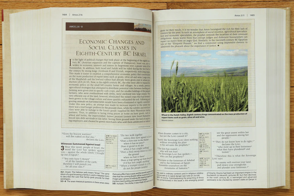 NIV, Cultural Backgrounds Study Bible, Red Letter Edition: Bringing to Life the Ancient World of Scripture - Image 19