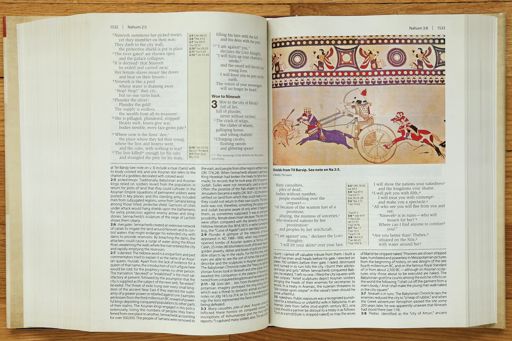 NIV, Cultural Backgrounds Study Bible, Red Letter Edition: Bringing to Life the Ancient World of Scripture - Image 20