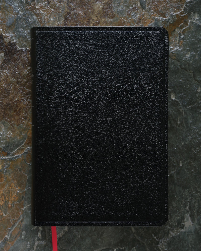 NIV, Cultural Backgrounds Study Bible, Red Letter Edition: Bringing to Life the Ancient World of Scripture - Image 21