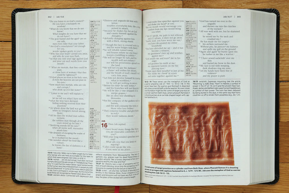NIV, Cultural Backgrounds Study Bible, Red Letter Edition: Bringing to Life the Ancient World of Scripture - Image 24