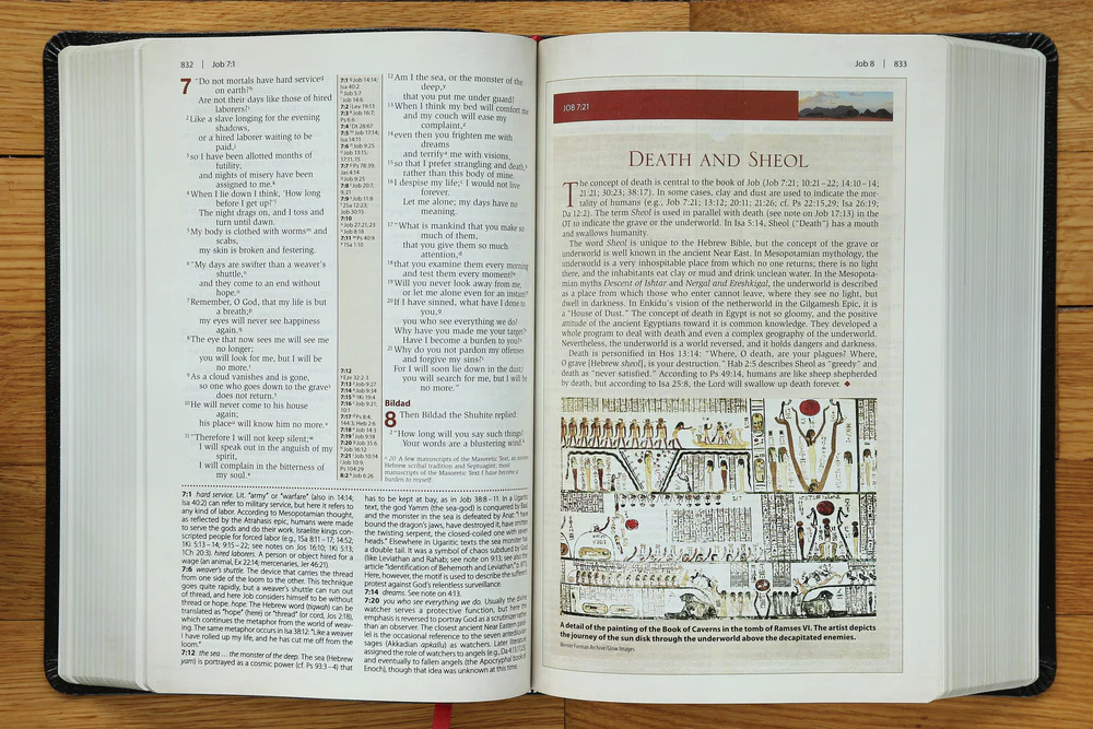 NIV, Cultural Backgrounds Study Bible, Red Letter Edition: Bringing to Life the Ancient World of Scripture - Image 26