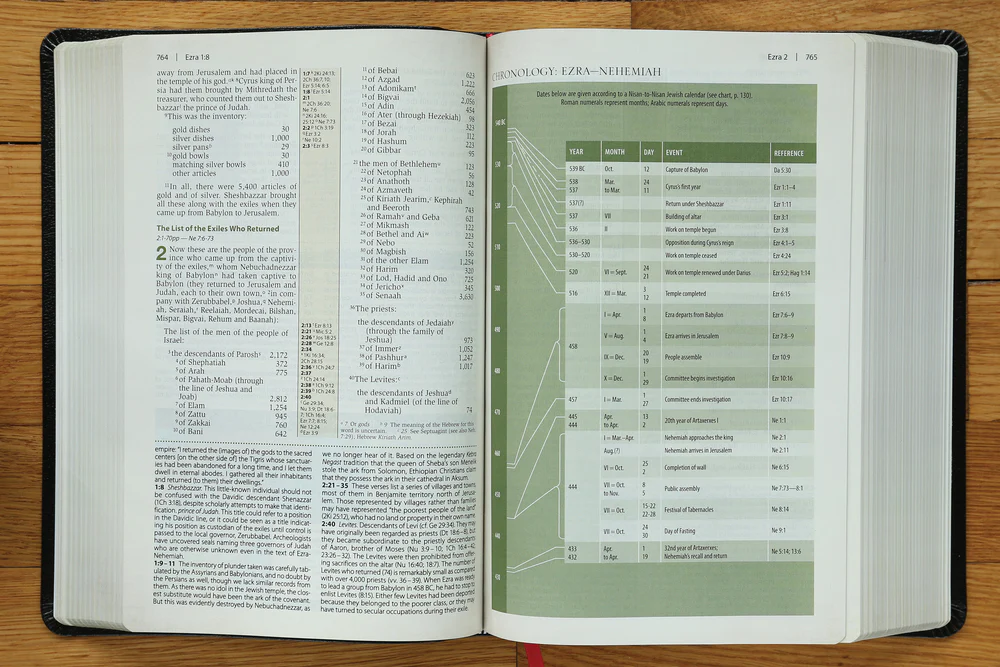 NIV, Cultural Backgrounds Study Bible, Red Letter Edition: Bringing to Life the Ancient World of Scripture - Image 27