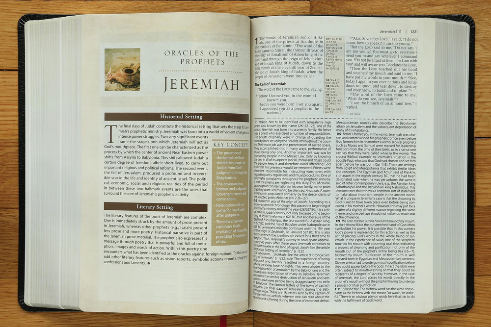 NIV, Cultural Backgrounds Study Bible, Red Letter Edition: Bringing to Life the Ancient World of Scripture - Image 30
