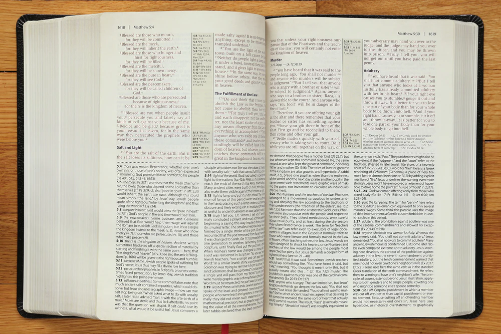 NIV, Cultural Backgrounds Study Bible, Red Letter Edition: Bringing to Life the Ancient World of Scripture - Image 31