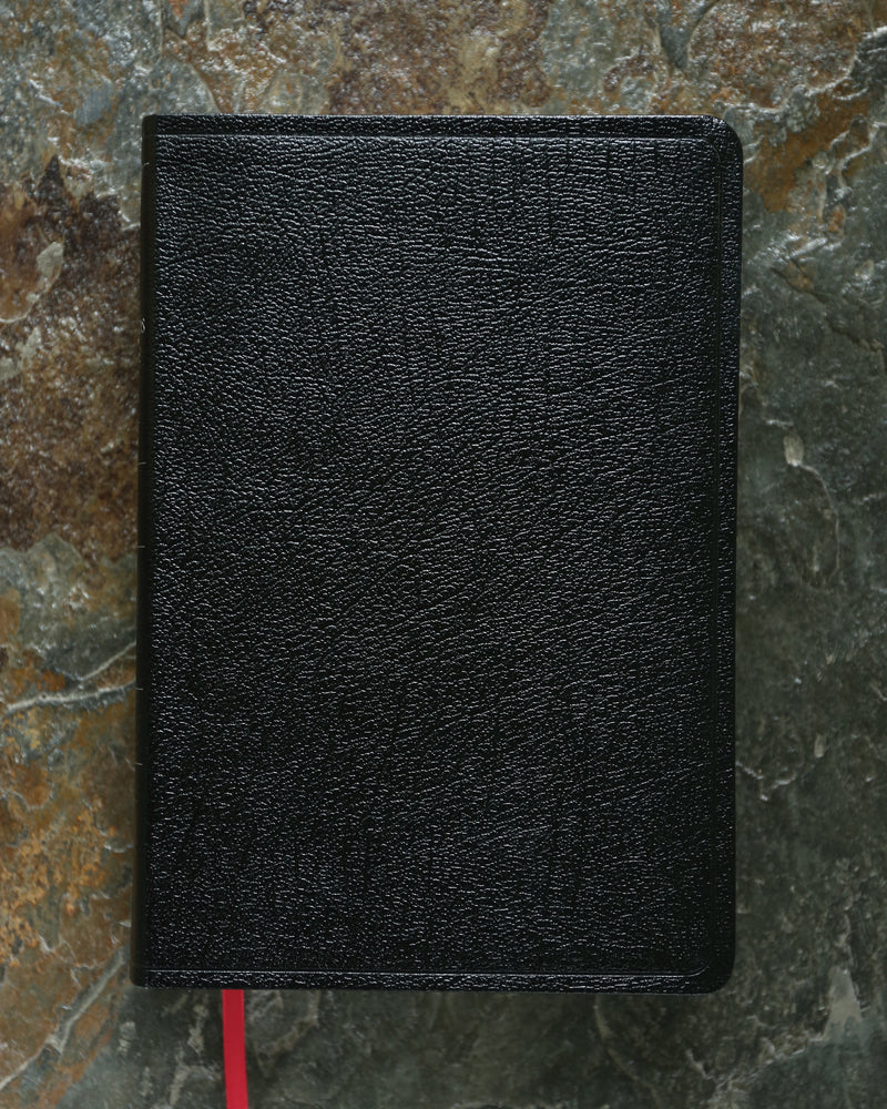 NIV, Cultural Backgrounds Study Bible, Red Letter Edition: Bringing to Life the Ancient World of Scripture - Image 38