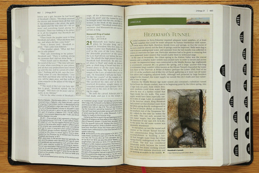NIV, Cultural Backgrounds Study Bible, Red Letter Edition: Bringing to Life the Ancient World of Scripture - Image 41