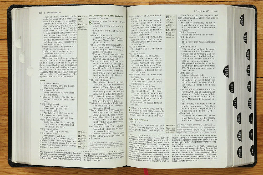 NIV, Cultural Backgrounds Study Bible, Red Letter Edition: Bringing to Life the Ancient World of Scripture - Image 44