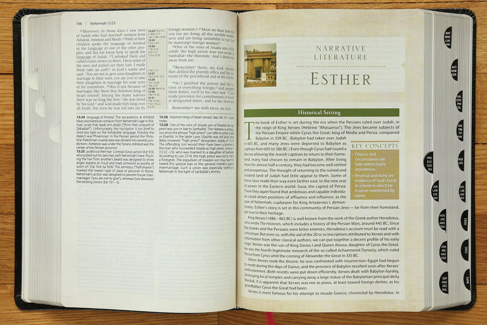 NIV, Cultural Backgrounds Study Bible, Red Letter Edition: Bringing to Life the Ancient World of Scripture - Image 45