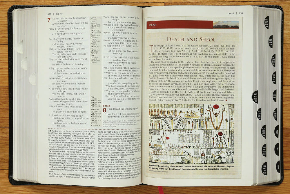 NIV, Cultural Backgrounds Study Bible, Red Letter Edition: Bringing to Life the Ancient World of Scripture - Image 46