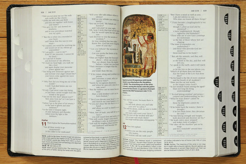 NIV, Cultural Backgrounds Study Bible, Red Letter Edition: Bringing to Life the Ancient World of Scripture - Image 47