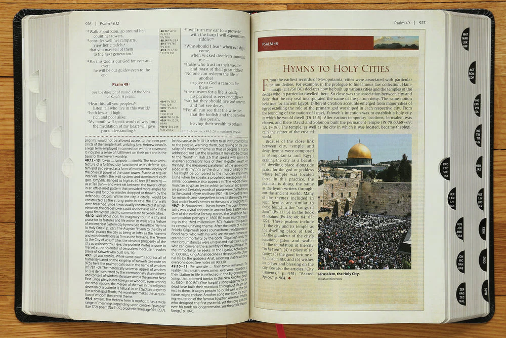 NIV, Cultural Backgrounds Study Bible, Red Letter Edition: Bringing to Life the Ancient World of Scripture - Image 48