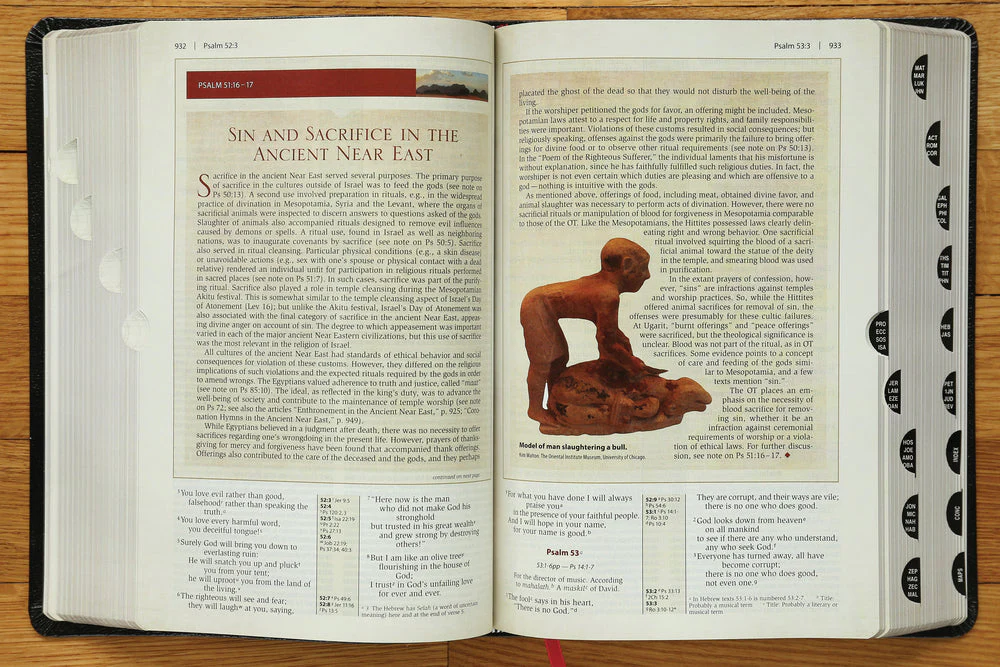 NIV, Cultural Backgrounds Study Bible, Red Letter Edition: Bringing to Life the Ancient World of Scripture - Image 49
